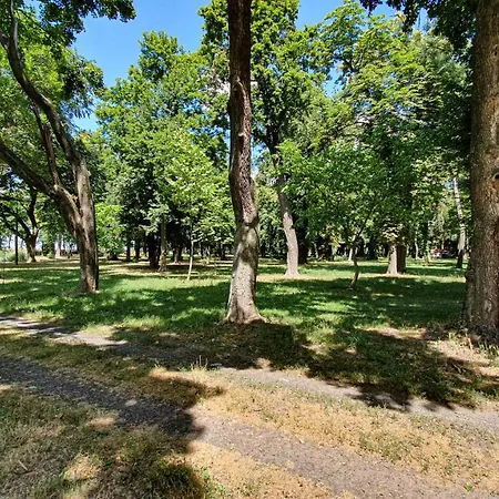 Hotel Dworek Restauracja Przyjecia Brodowo (Greater Poland)