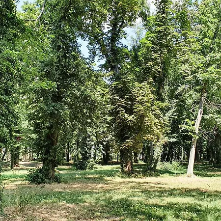 Dworek Restauracja Przyjecia Hotel