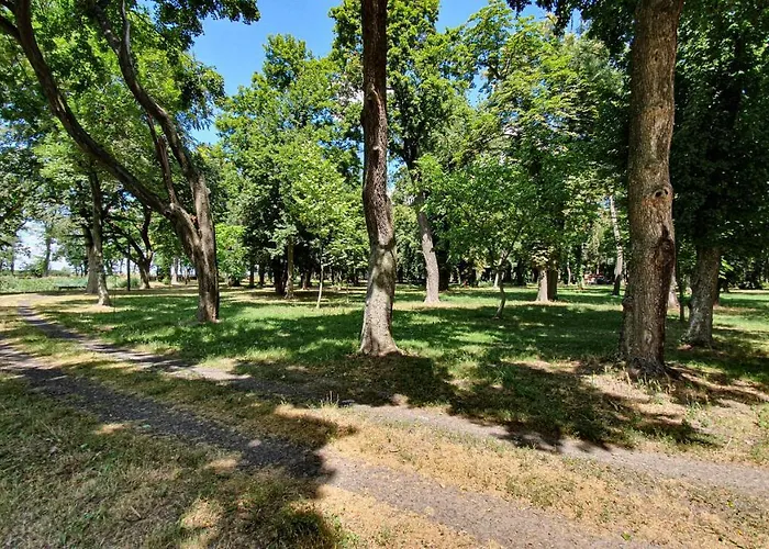 מלון Dworek Restauracja Przyjecia Brodowo (Greater Poland)