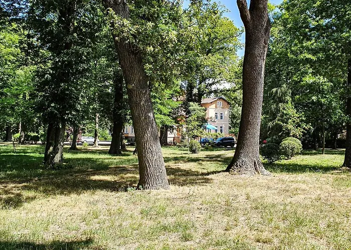 Dworek Restauracja Przyjecia מלון