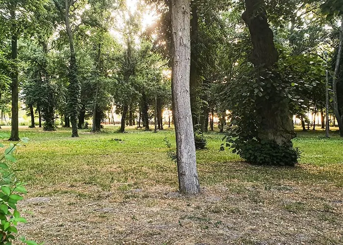 מלון Dworek Restauracja Przyjecia Brodowo (Greater Poland)